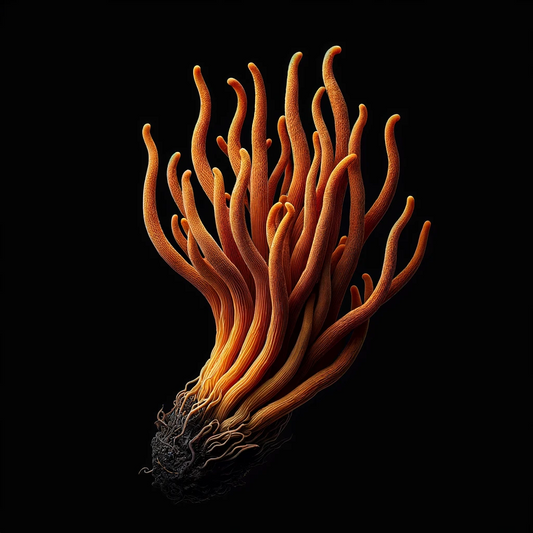 Cordyceps for Endurance Athletes: The Fungi That Might Just Help You Go the Extra Mile