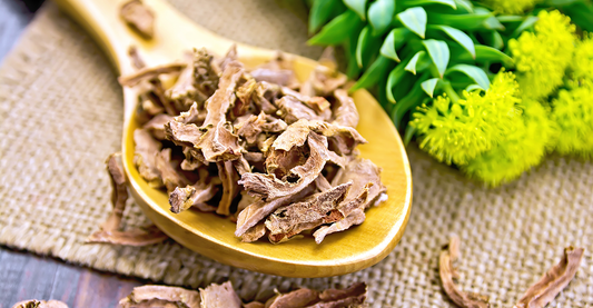 Rhodiola Rosea for Stress Relief: How It Works and Why You Need It