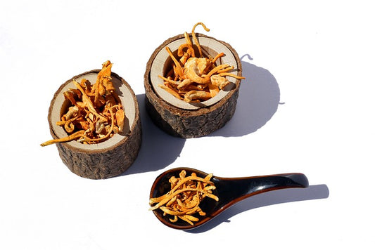 Cordyceps: Unlocking the Science Behind Its Health and Performance Benefits