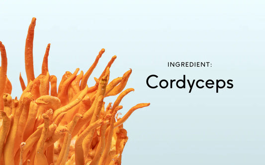 Cordyceps for Endurance: The Exact Dose and Timing You Need for Maximum Performance